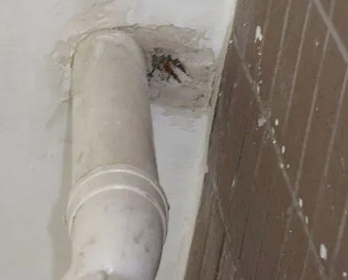 邕宁漏水检测哪家好