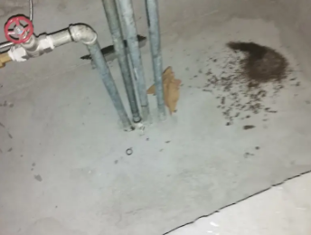 邕宁卫生间测漏水价格明细